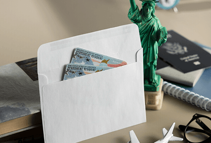 Immigration Professional